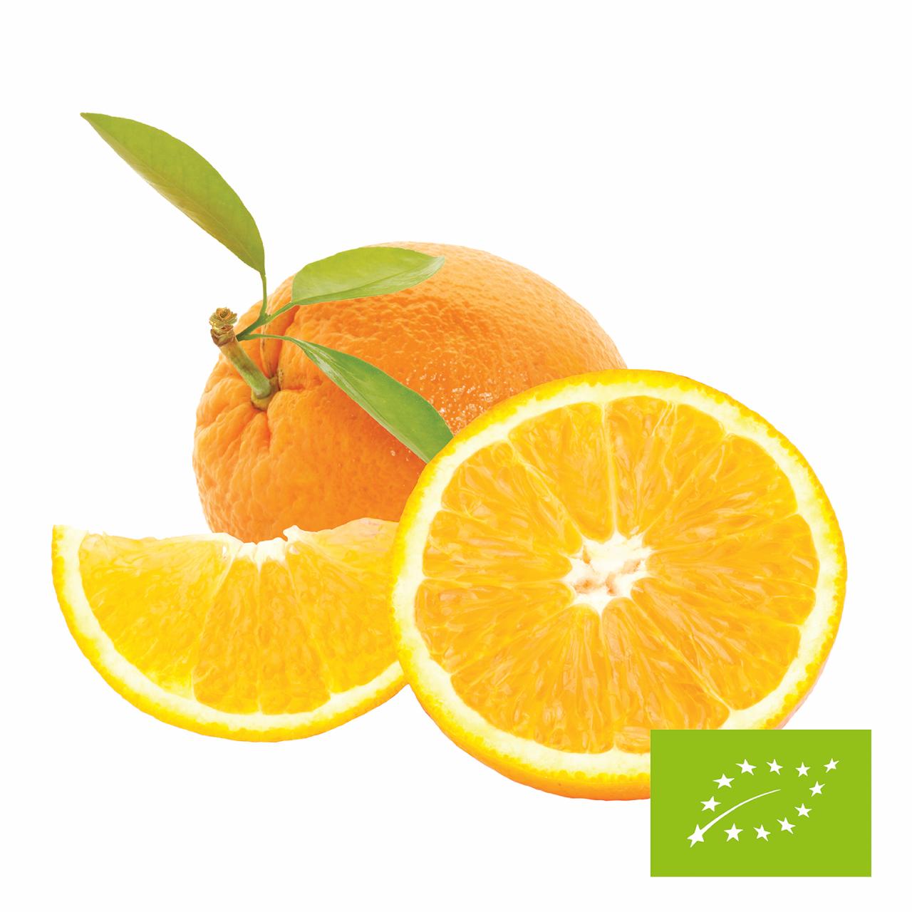 Appelsin Koncentrat 1:5 Økologisk
